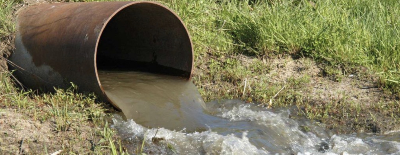 Descargas de aguas negras contaminan campos de cultivo en la zona cañera