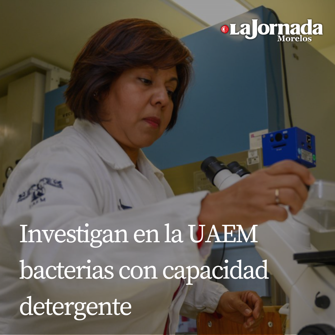 Investigan en la UAEM bacterias con capacidad detergente