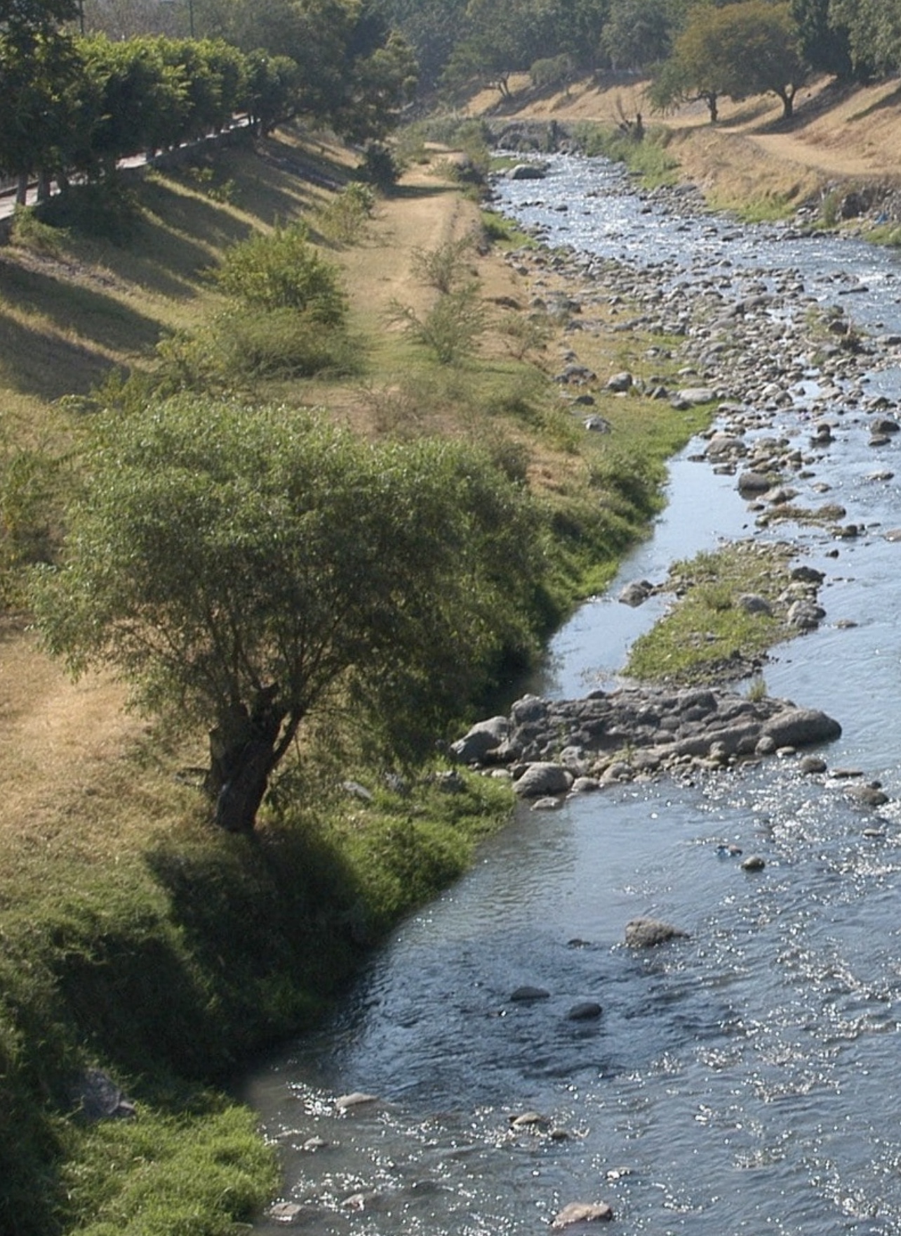 Analizan contaminación en el río Cuautla