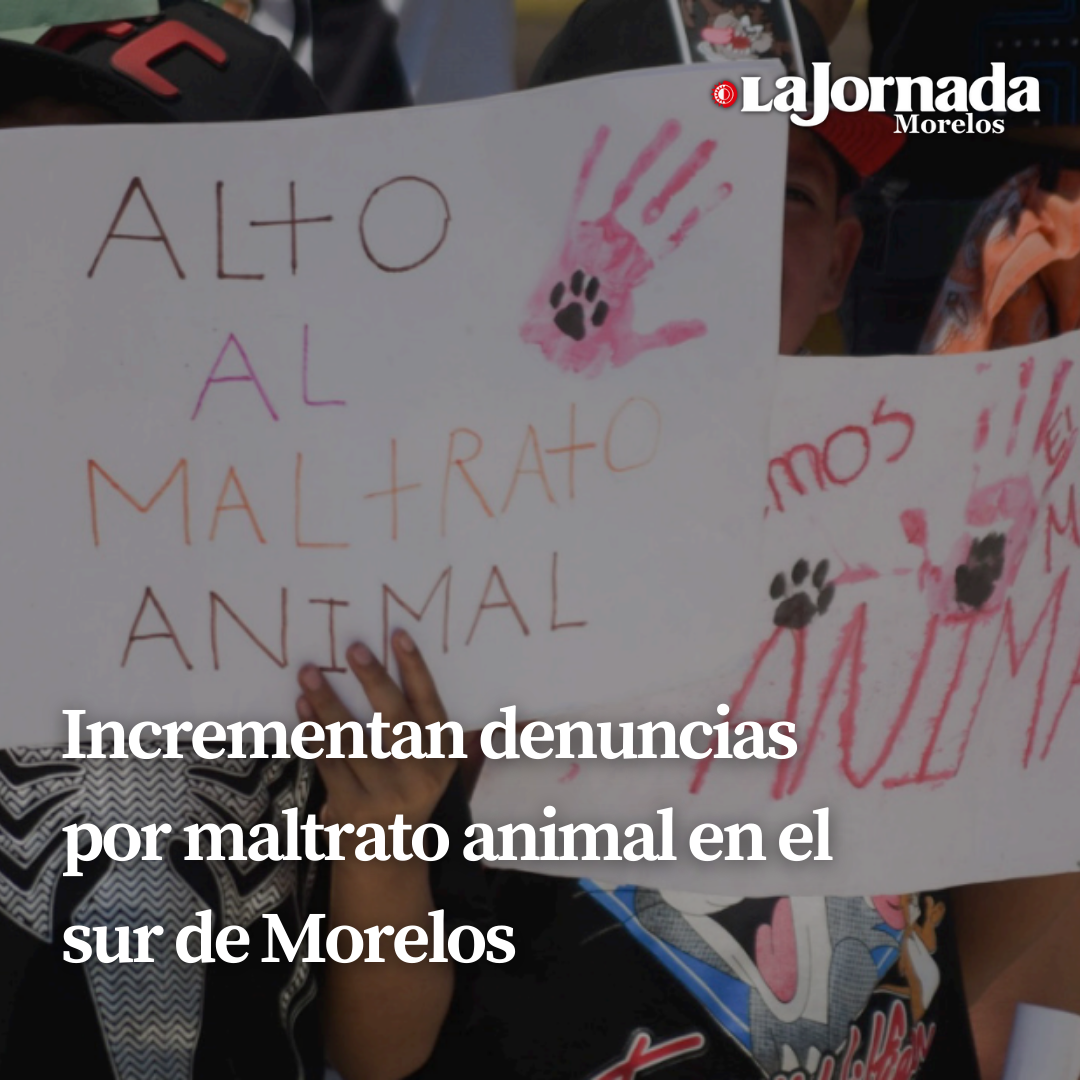 Incrementan denuncias por maltrato animal en el sur de Morelos 