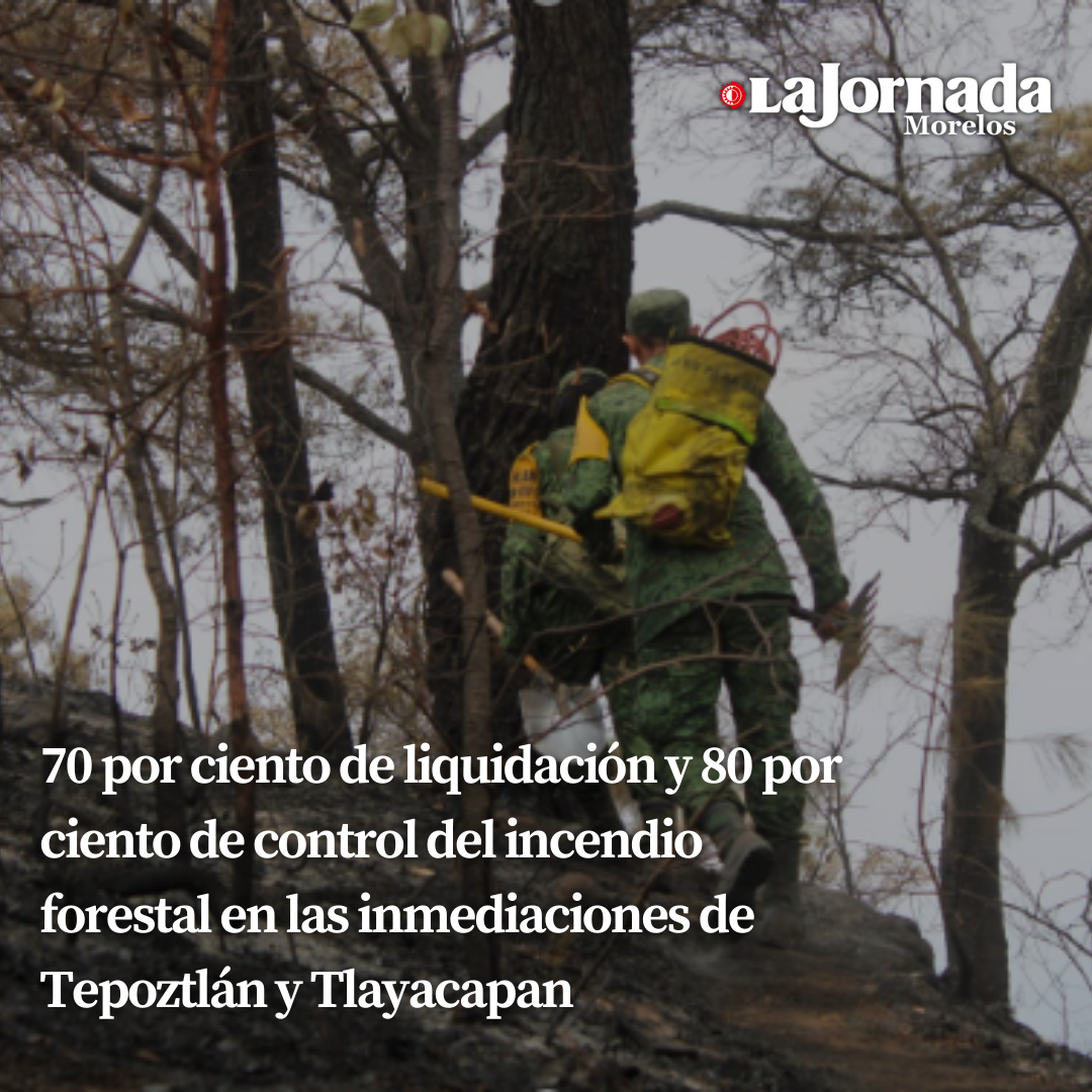 70 por ciento de liquidación y 80 por ciento de control del incendio forestal en las inmediaciones de Tepoztlán y Tlayacapan