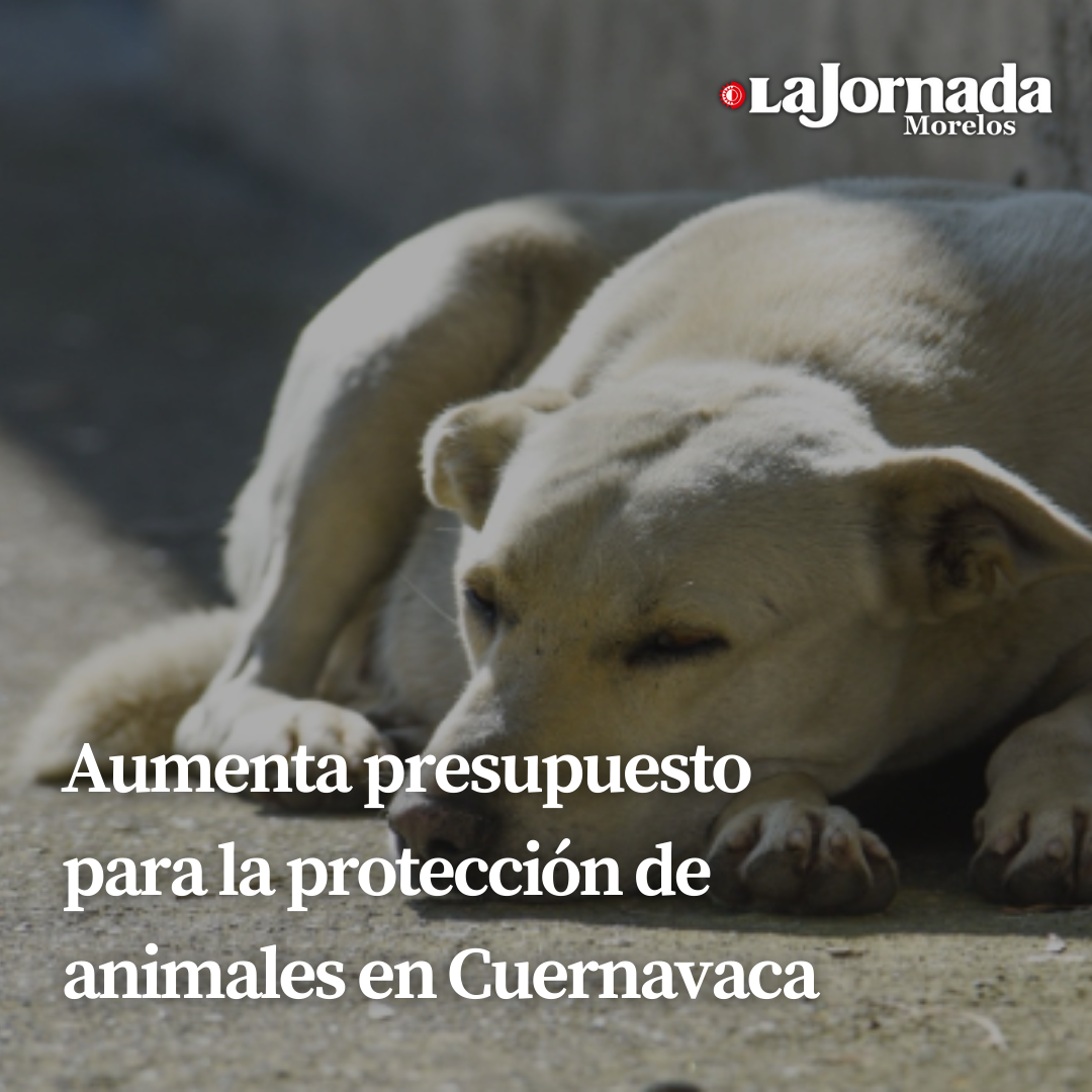 Aumenta presupuesto para la protección de animales en Cuernavaca  