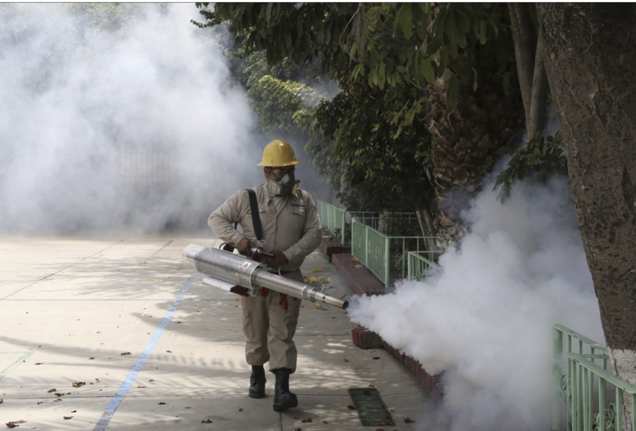 Registran más de 300 casos de dengue en Cuernavaca  