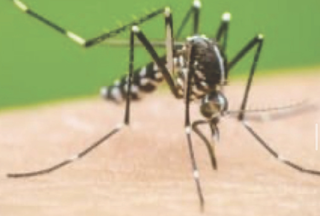 Ya son 362 casos de dengue en Morelos