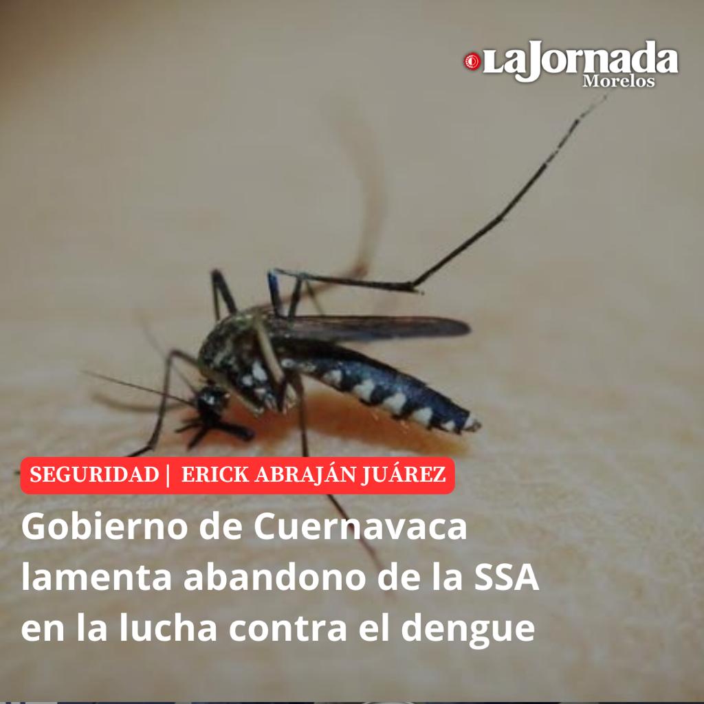 Gobierno de Cuernavaca lamenta abandono de la SSA en la lucha contra el dengue