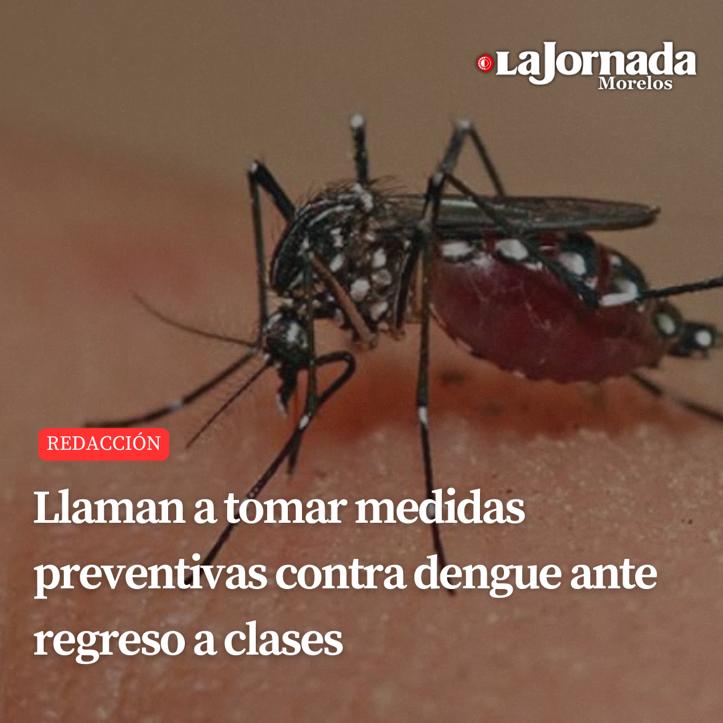 Llaman a tomar medidas preventivas contra dengue ante regreso a clases