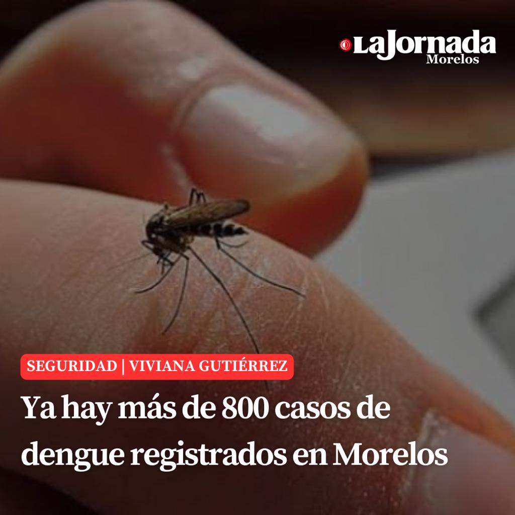 Ya hay más de 800 casos de dengue registrados en Morelos