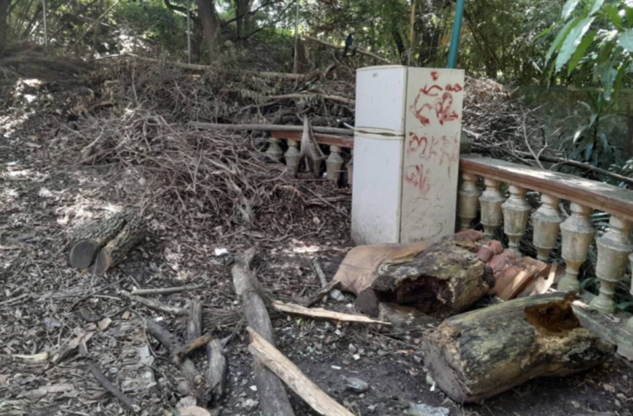 Urgen ambientalistas el rescate del Parque Melchor Ocampo en Cuernavaca