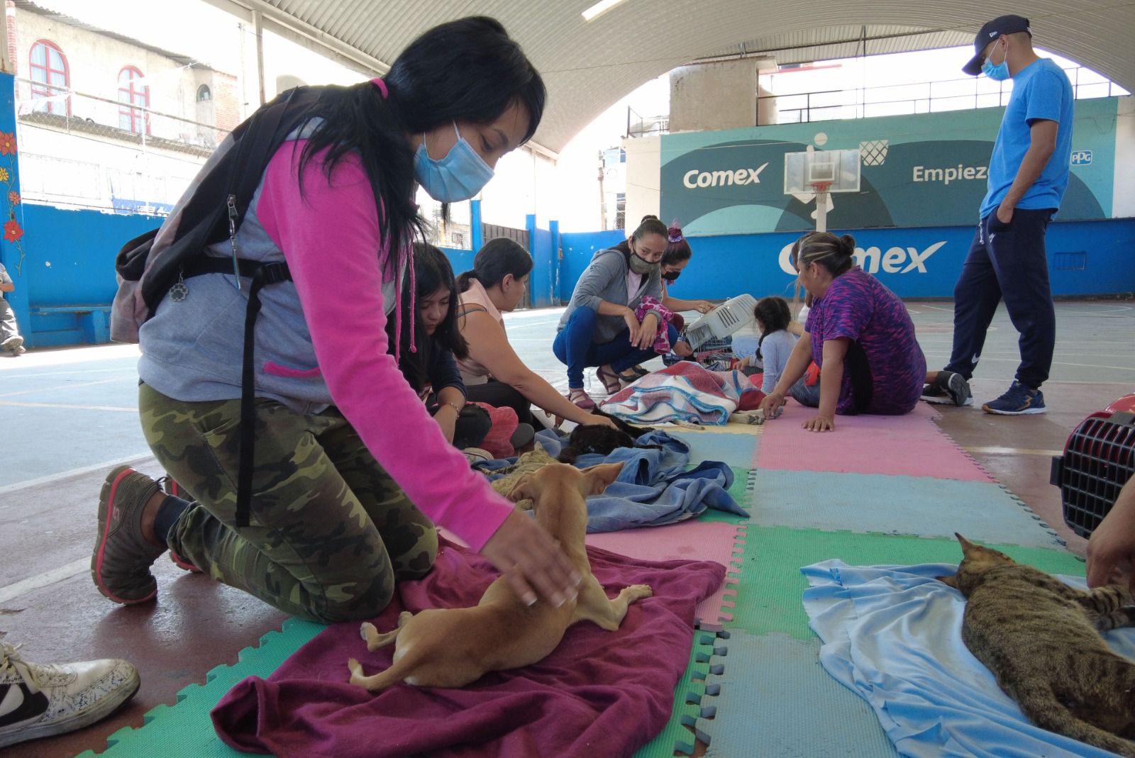 Más de mil 500 perros y gatos esterilizados en 2023 en Jiutepec