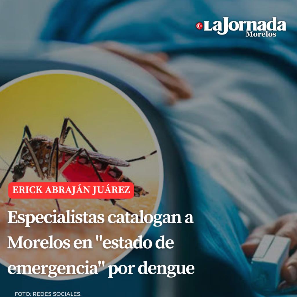 Especialistas catalogan a Morelos en “estado de emergencia” por dengue