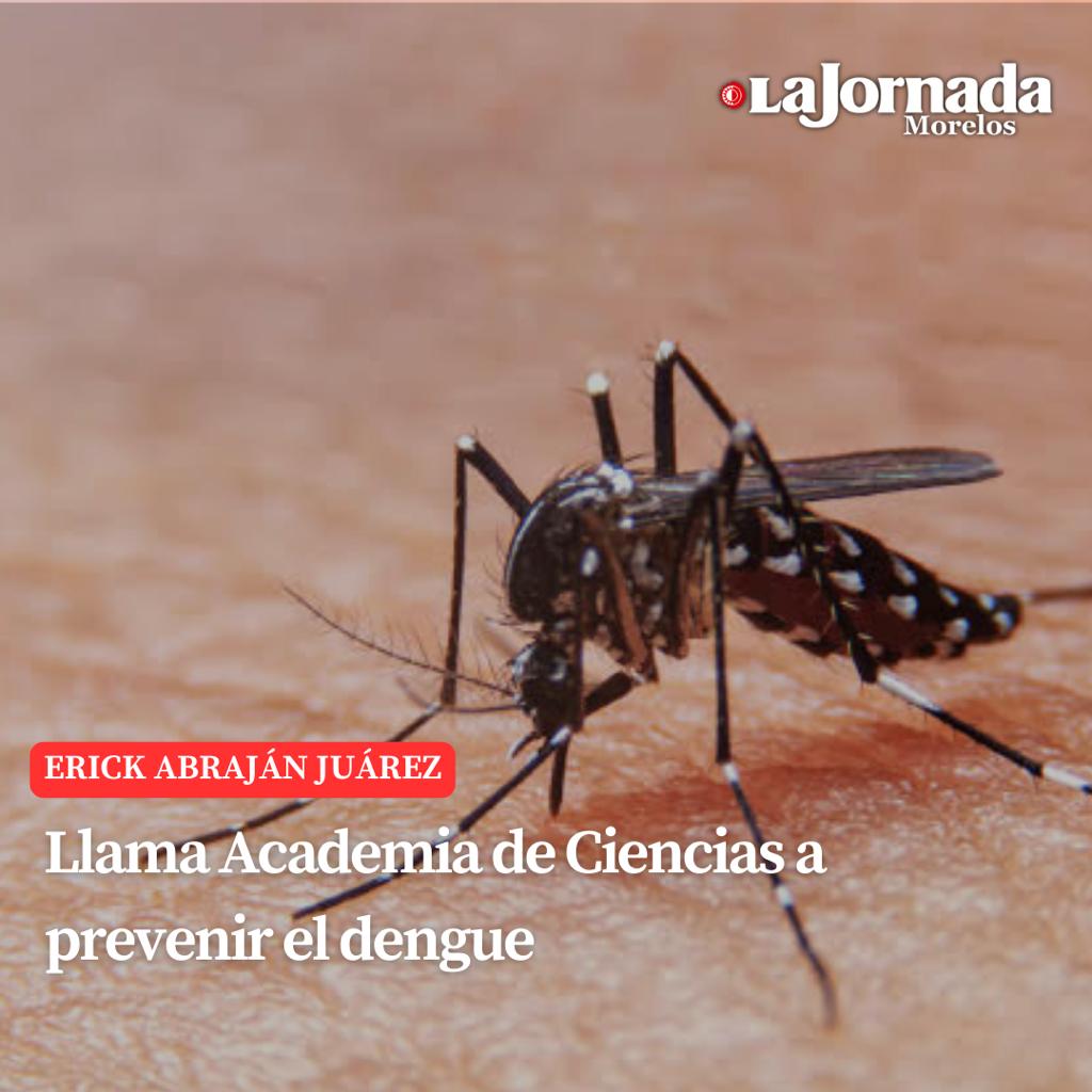 Llama Academia de Ciencias a prevenir el dengue