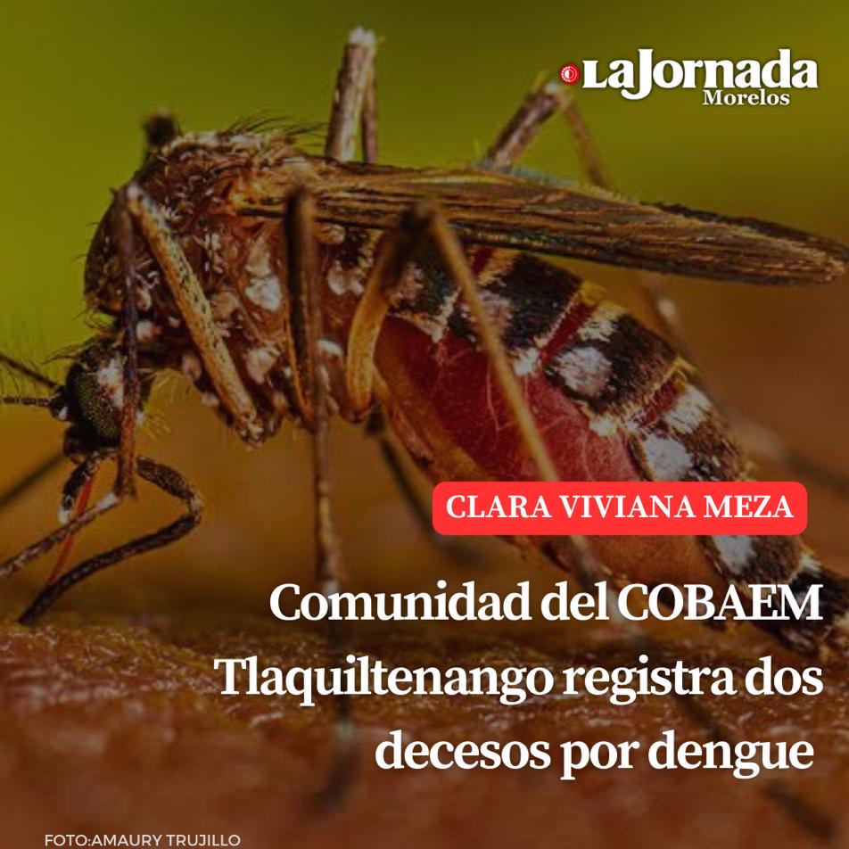 Comunidad del COBAEM Tlaquiltenango registra dos decesos por dengue