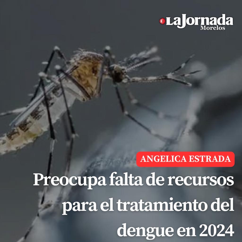 Preocupa falta de recursos para el tratamiento del dengue en 2024