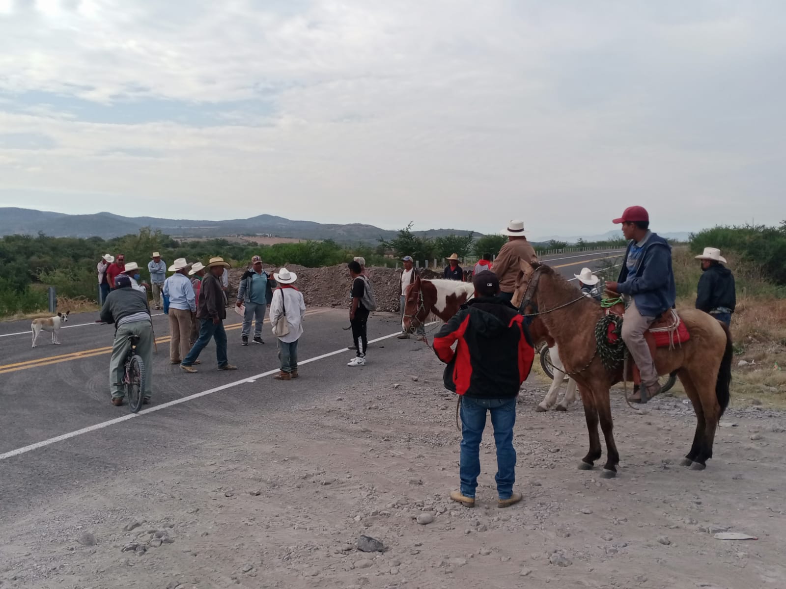 Un grupo de personas caminando junto a un caballo

Descripción generada automáticamente