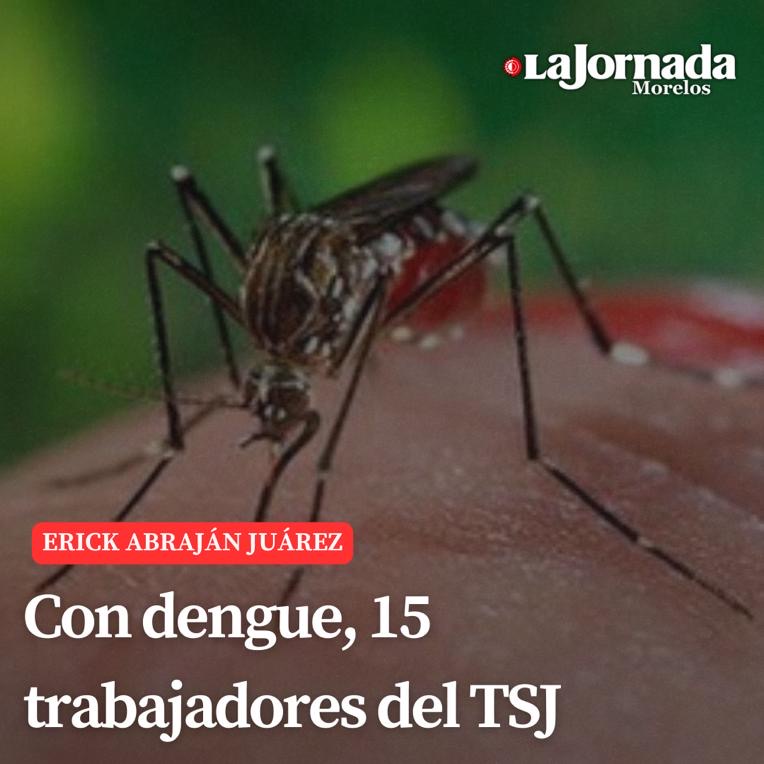 Con dengue, 15 Trabajadores del TSJ