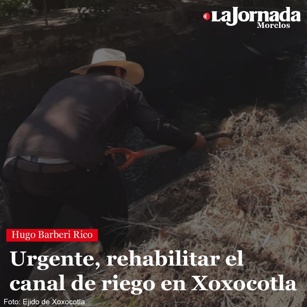 Urgente, rehabilitar el canal de riego en Xoxocotla