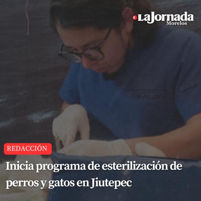 Inicia programa de esterilización de perros y gatos en Jiutepec