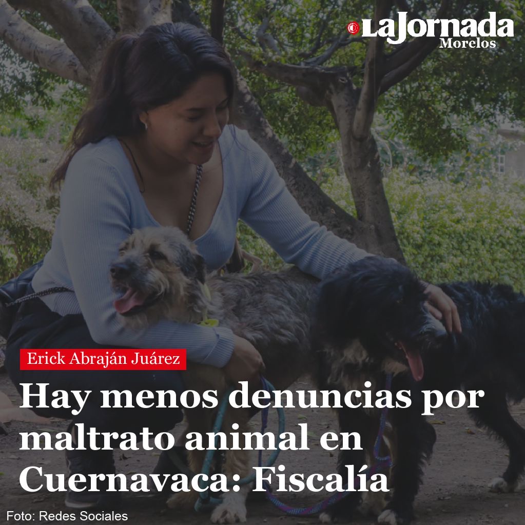 Hay menos denuncias por maltrato animal en Cuernavaca: Fiscalía