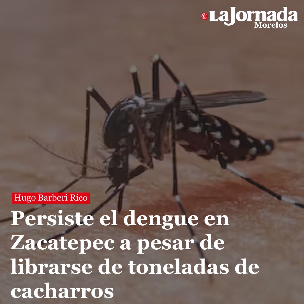 Persiste el dengue en Zacatepec a pesar de librarse de toneladas de cacharros