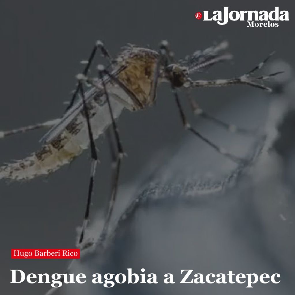 Dengue agobia a Zacatepec