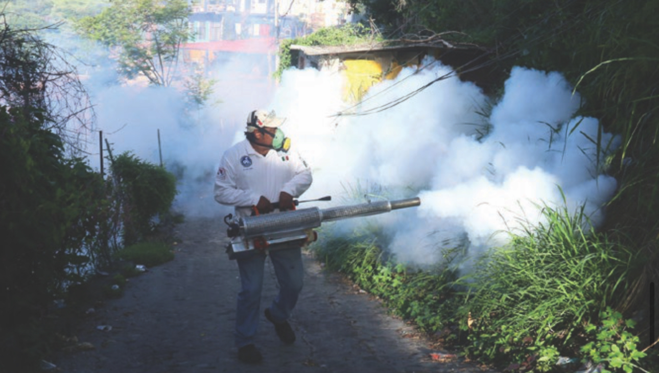Combate al dengue se detiene por falta de pagos en Servicios de Salud