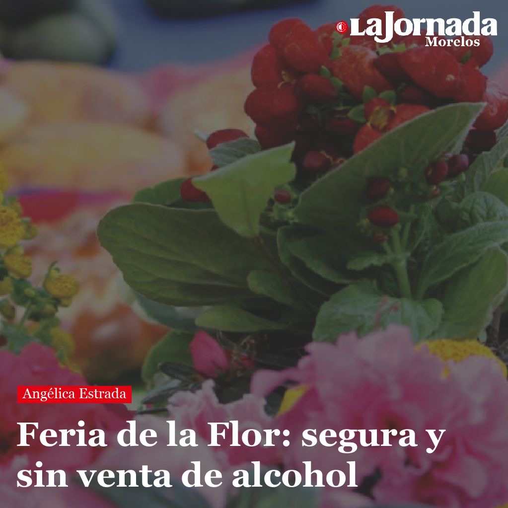 Feria de la Flor: segura y sin venta de alcohol