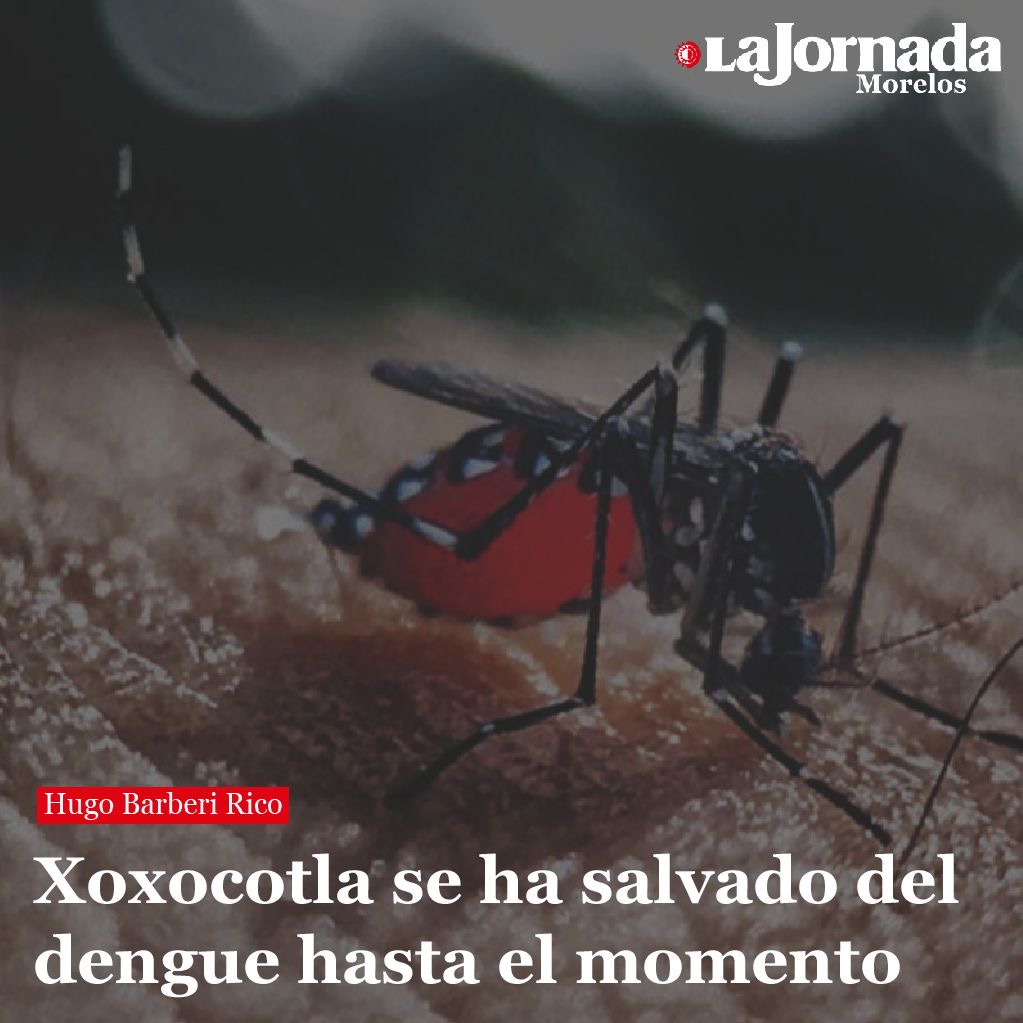 Xoxocotla se ha salvado del dengue hasta el momento