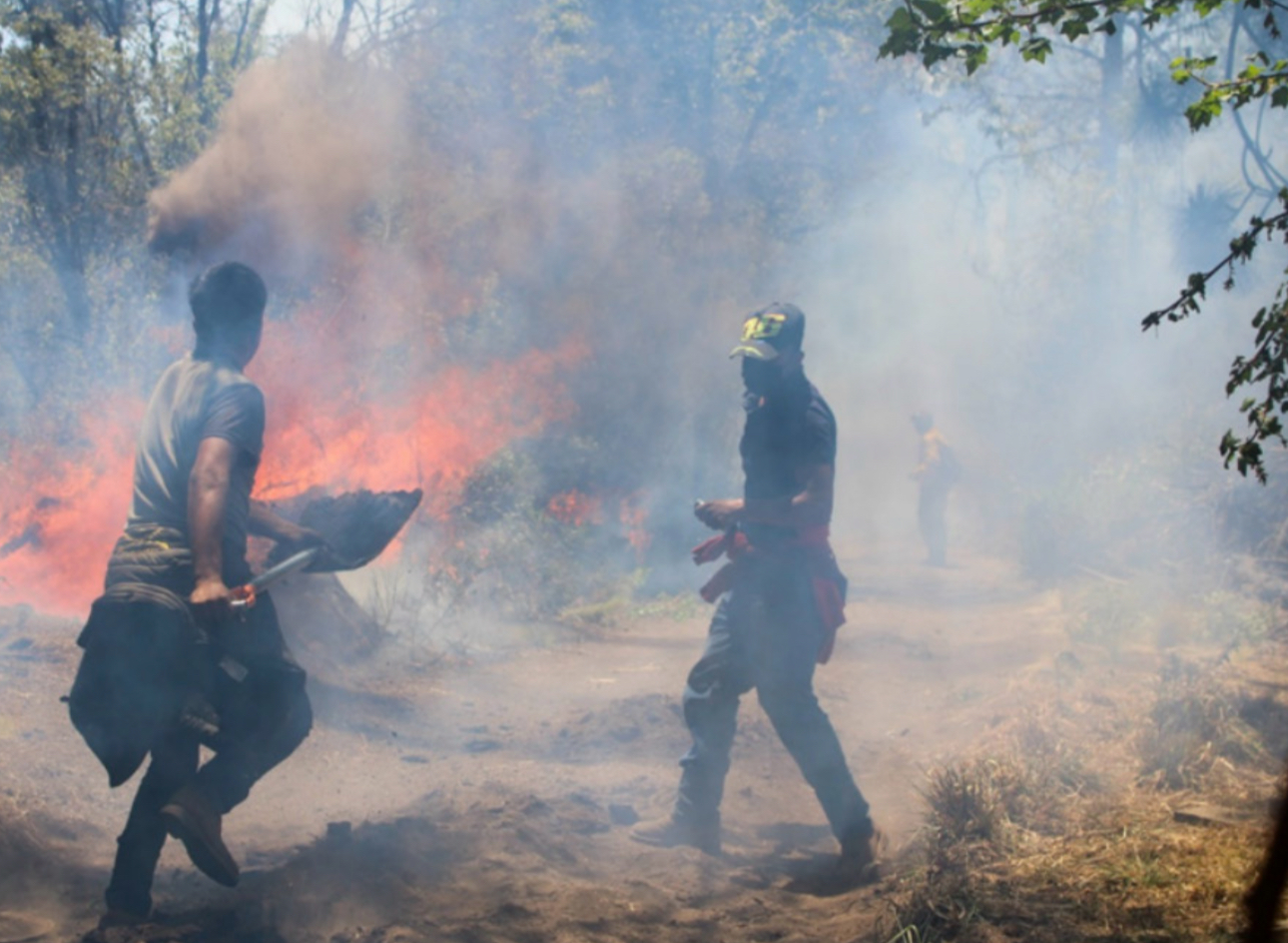 Incendios forestales rebasan a autoridades en Morelos