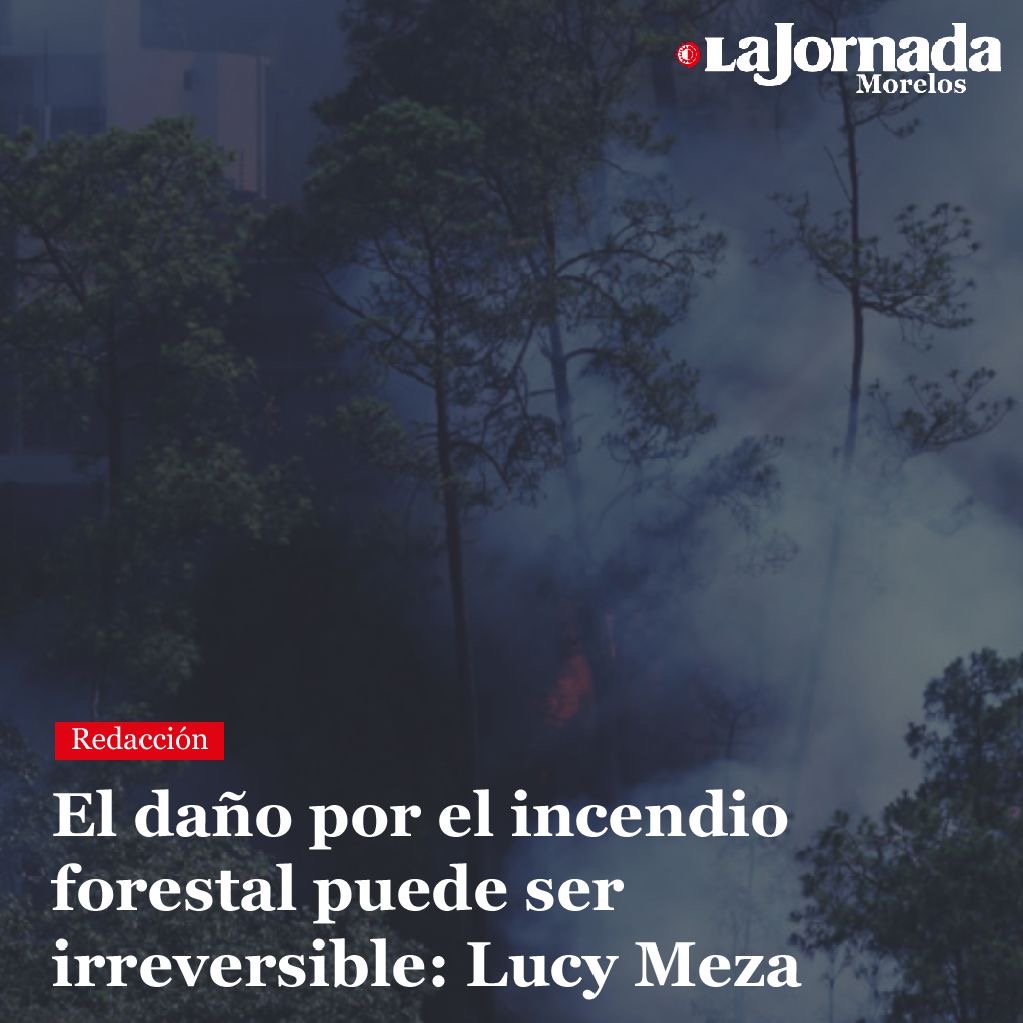 El daño por el incendio forestal puede ser irreversible: Lucy Meza
