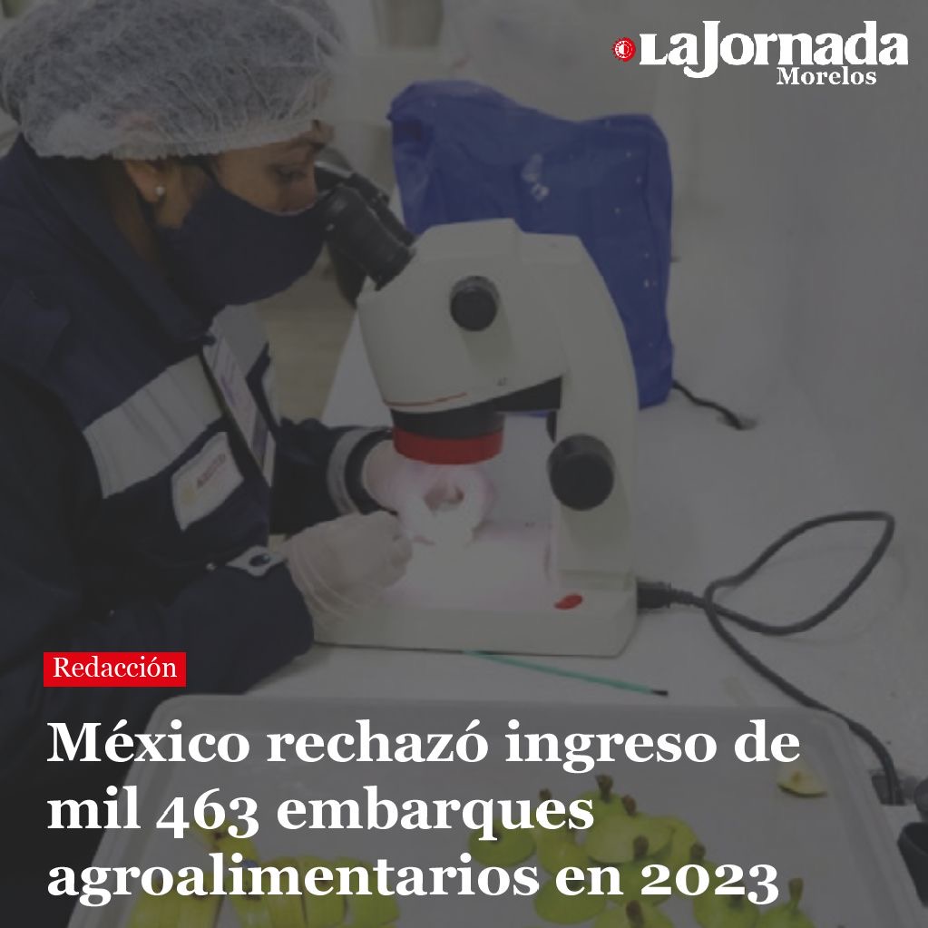 México rechazó ingreso de mil 463 embarques agroalimentarios en 2023