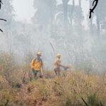 Incendios forestales provocan riesgo a salud por mala calidad del aire