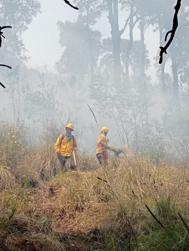 Incendios forestales provocan riesgo a salud por mala calidad del aire