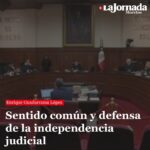 Sentido común y defensa de la independencia judicial