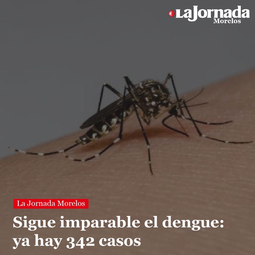Sigue imparable el dengue: ya hay 342 casos