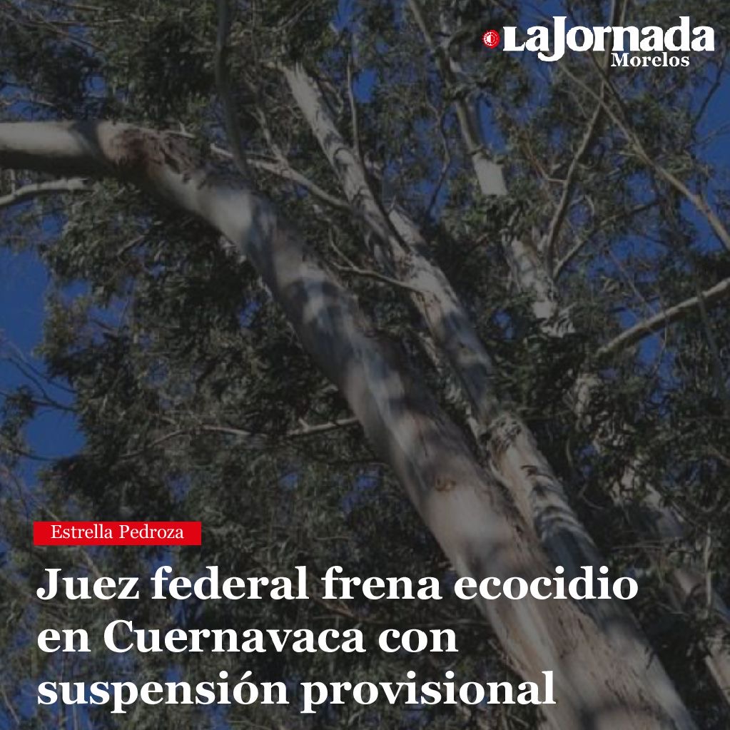 Juez federal frena ecocidio en Cuernavaca con suspensión provisional