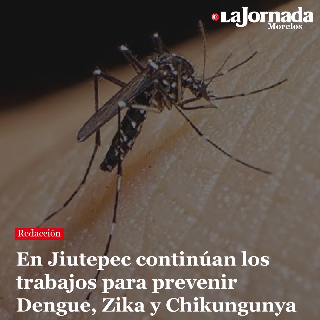 En Jiutepec continúan los trabajos para prevenir Dengue, Zika y Chikungunya