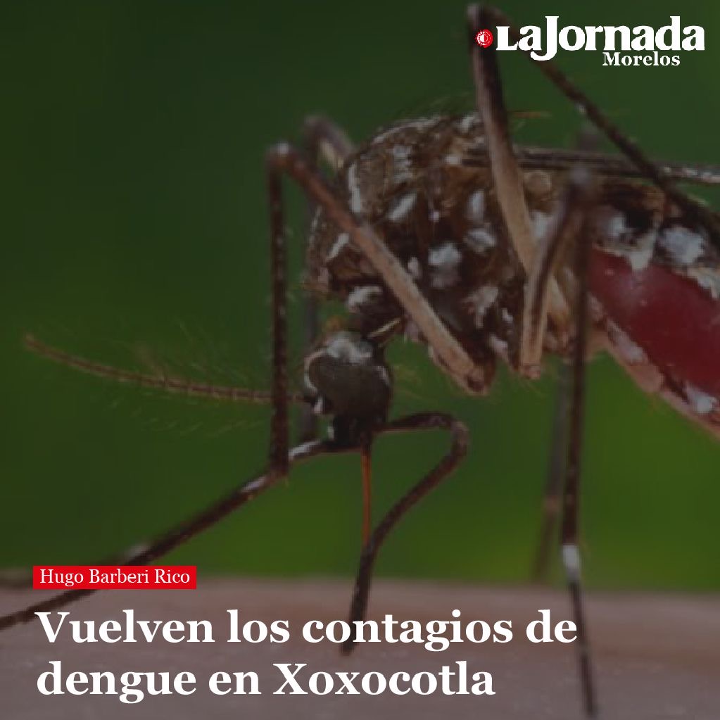 Vuelven los contagios de dengue en Xoxocotla