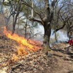 Controlan al 70% el incendio en El Zapote, Tilzapotla