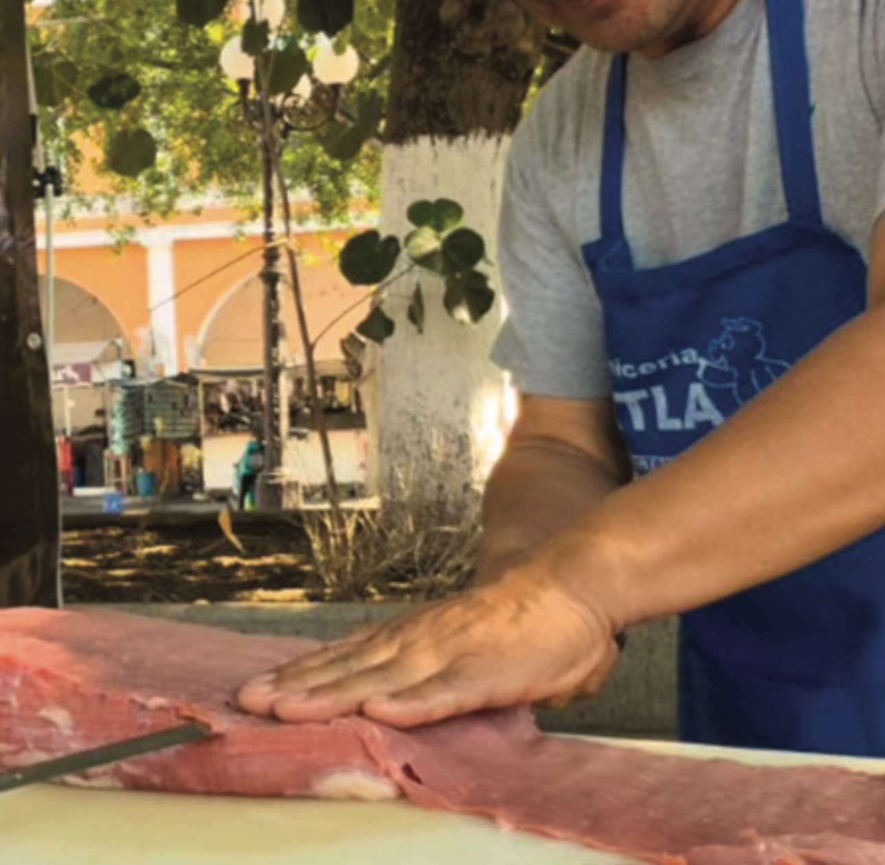 Jóvenes recuperan la Feria de la Cecina en Puente de Ixtla