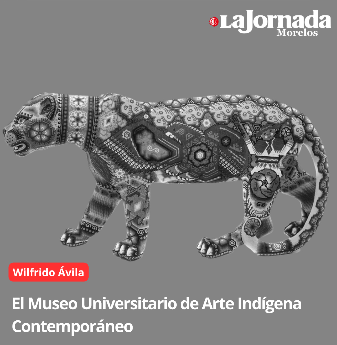 El Museo Universitario de Arte Indígena Contemporáneo